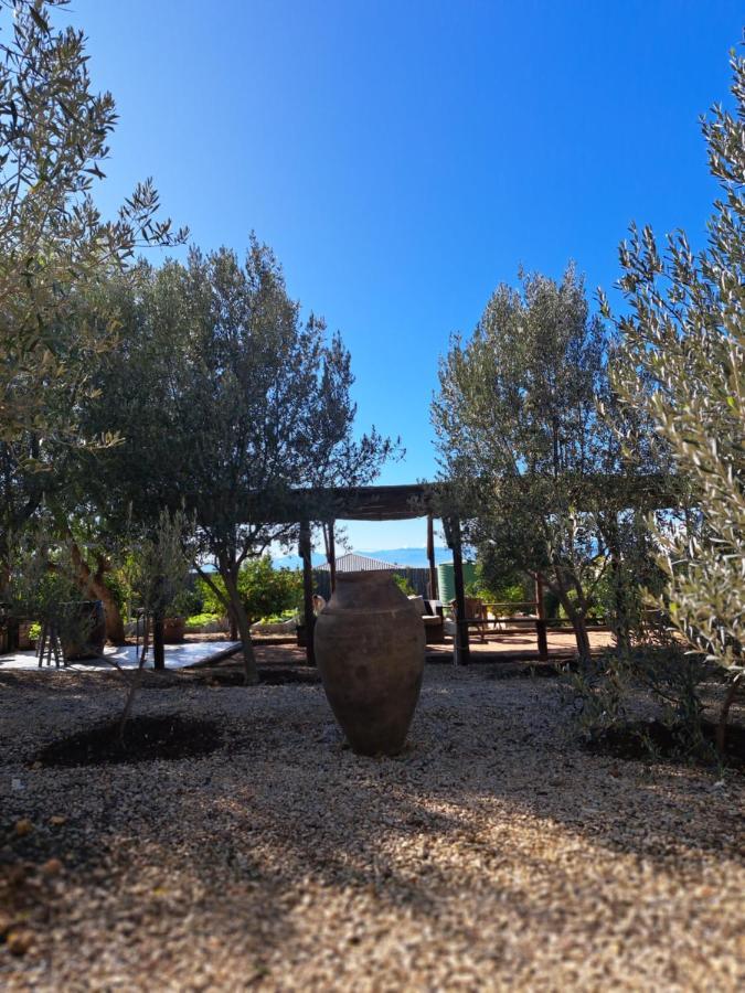 Olive Grove Cottage Koringberg Buitenkant foto